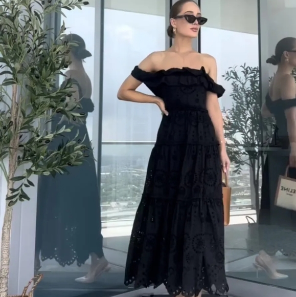 NWTs zara limited edition eyelet embroidered maxi dress xsmall - Picture 6 of 12